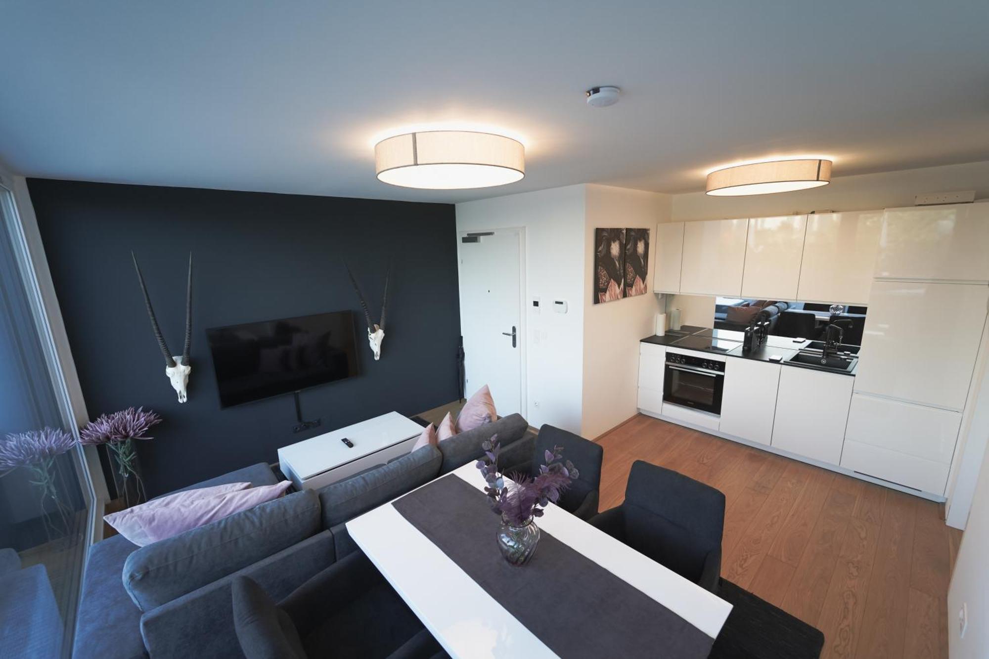 Modern Stylish Design Apartment With Free Parking Emily Viyana Dış mekan fotoğraf